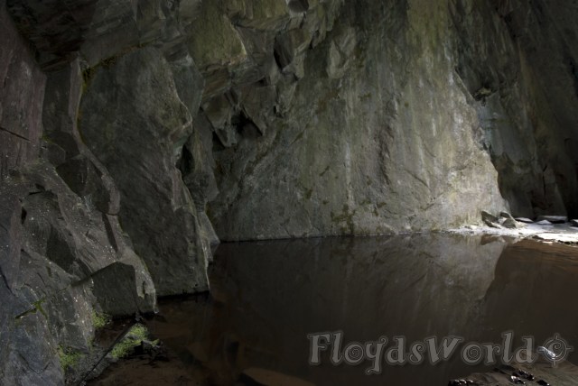 watermarked-DSC_0036