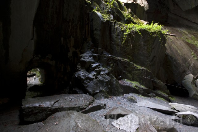 watermarked-DSC_0053