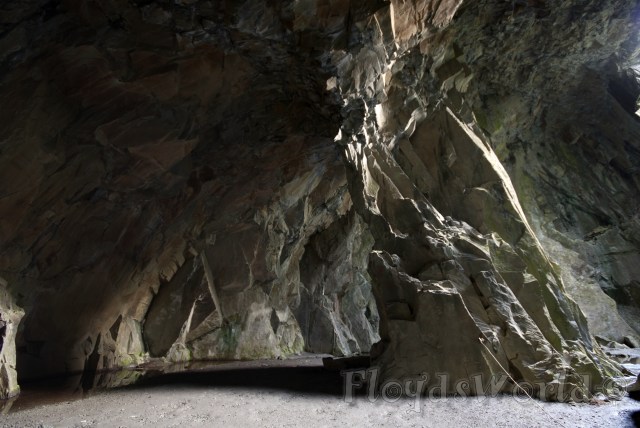 watermarked-DSC_0093