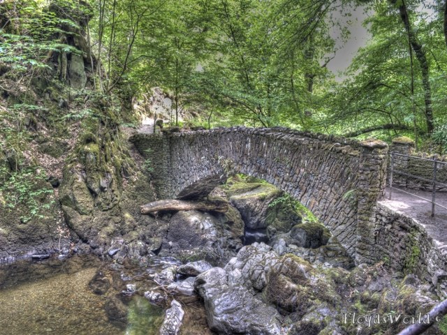 watermarked-DSC_0001_2_3_tonemapped