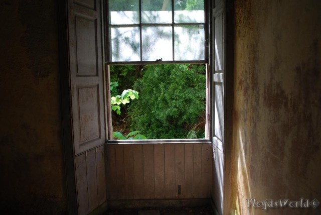 watermarked-DSC_0013