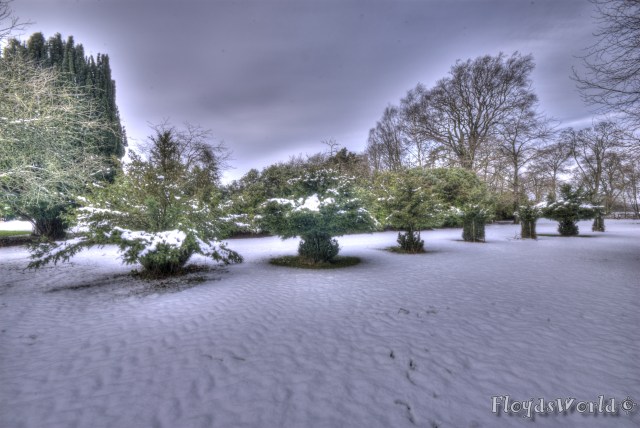 watermarked-DSC_0081And12more_tonemapped