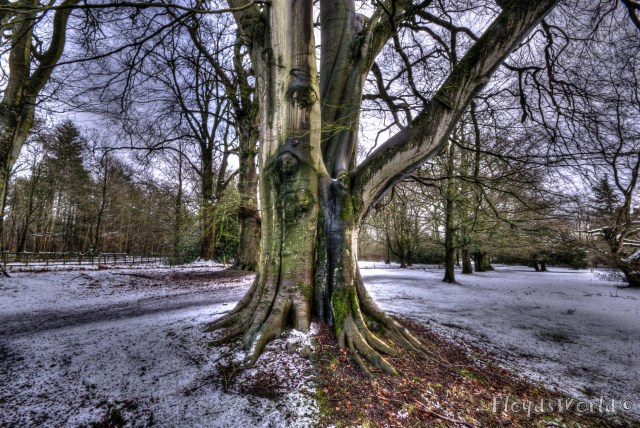 watermarked-DSC_0094_095_096_097_098_099_100_tonemapped