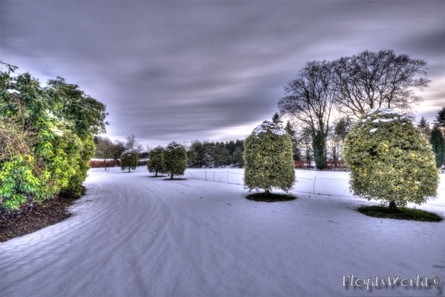 watermarked-DSC_0101And12more_tonemapped