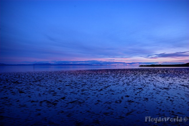 watermarked-SandyHills5