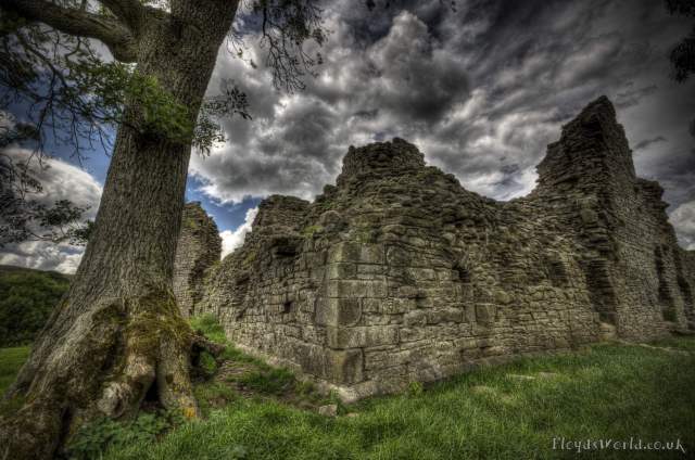 Pendragon07072014_0031