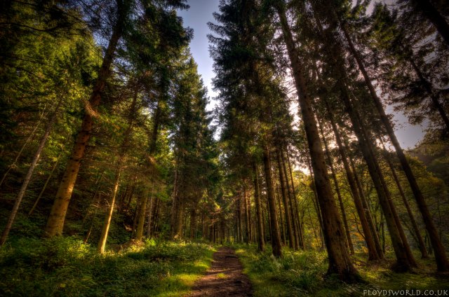 IMG_9775_6_7_tonemapped