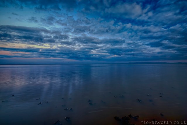 Solway NR Eastriggs 019