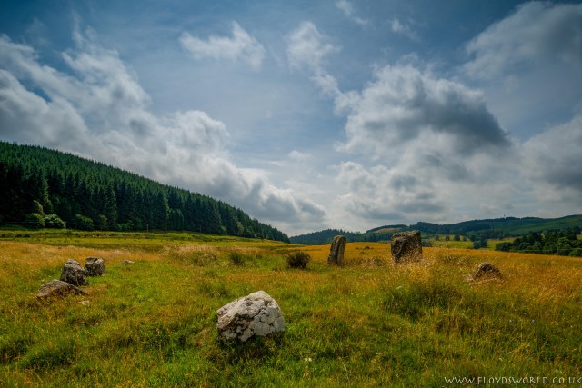 LoupinStanes14071885